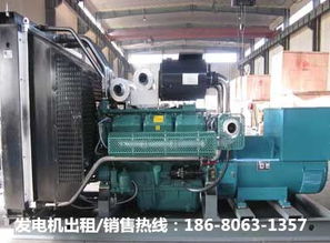 景德鎮(zhèn)發(fā)電機服務全解 從出租到生產(chǎn)組裝，再到配件銷售與維修